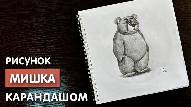 to draw bear 