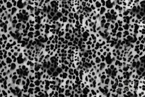 Leopard print seamless Free Stock Photos, Images, and 