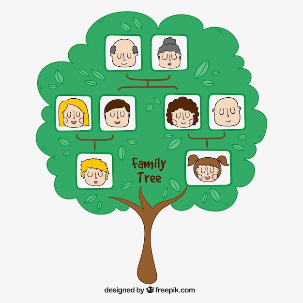 Более 960 работ на тему «Pics Of A Decorative Family Tree 