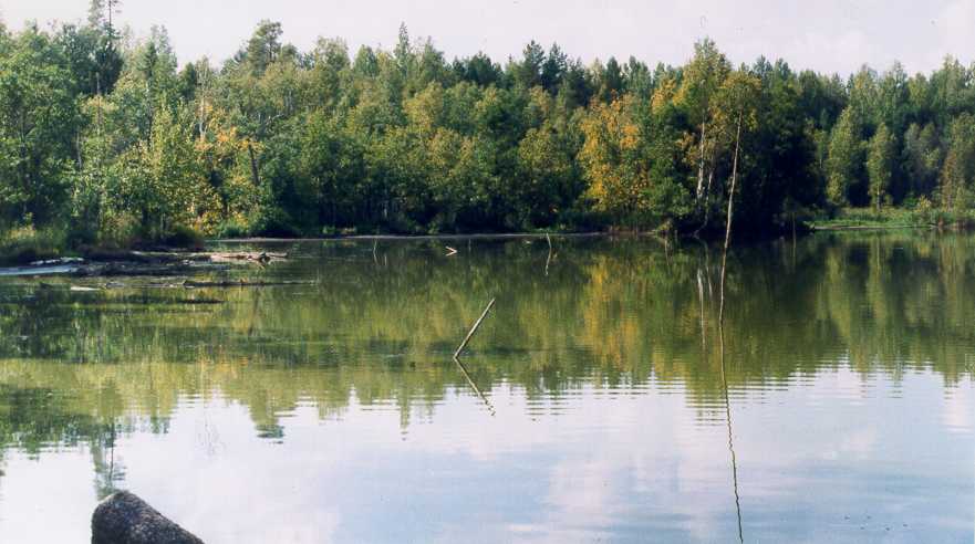 Озеро Мазарское, Медведевский район РМЭ