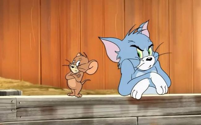 Tom And Jerry 