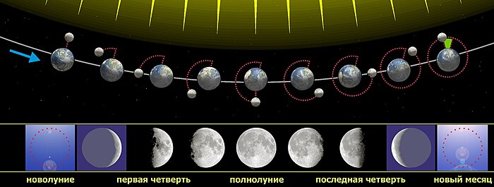 Фотографу удалось сделать самые 