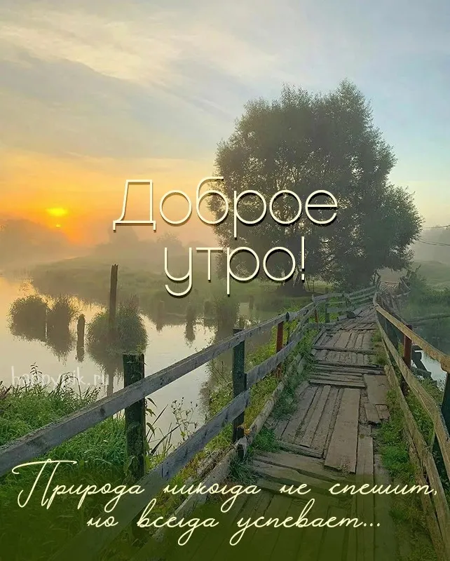 Хорошего дня! Изумительная красота природы Nature