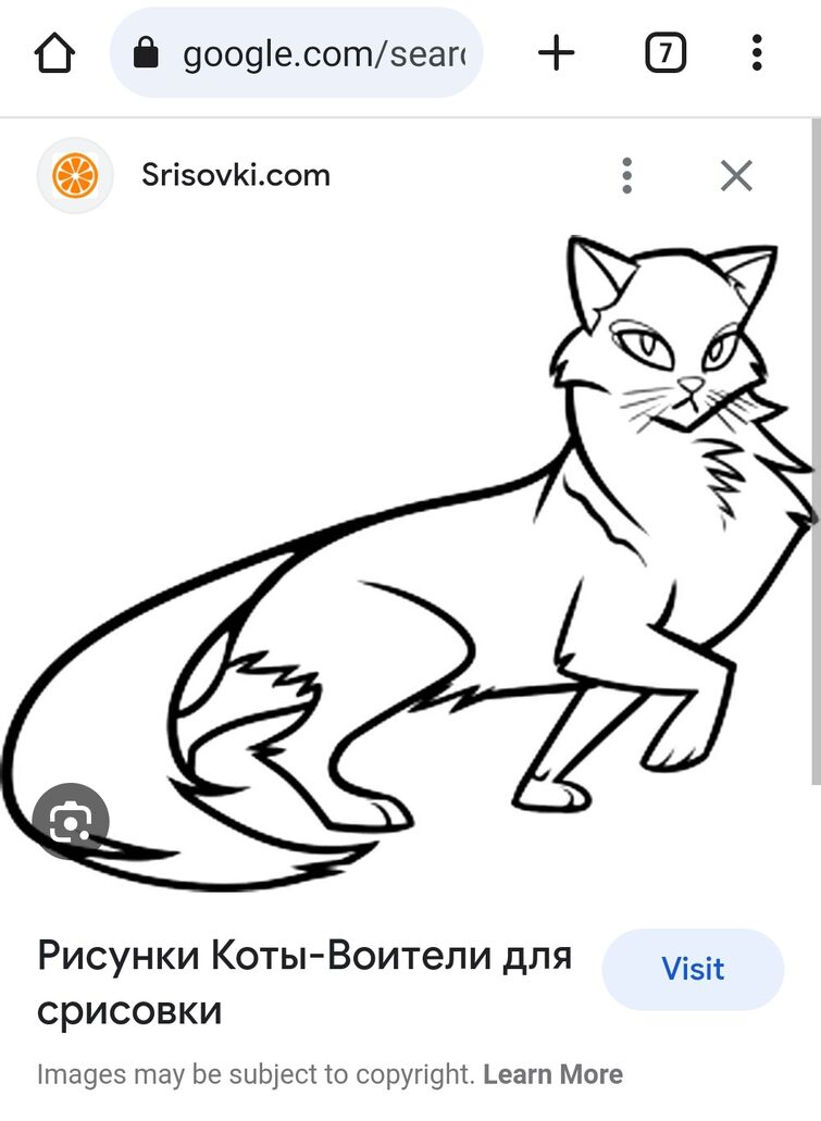 Коты Воители Рисунки Для Срисовки