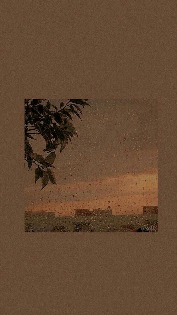 Brown Aesthetic Wallpaper 