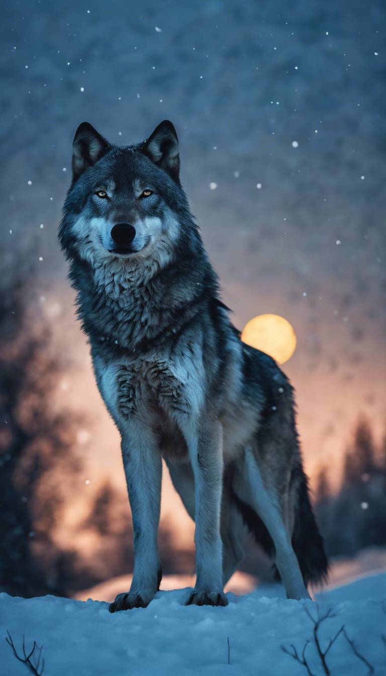 glow, wolf, fantasy art 