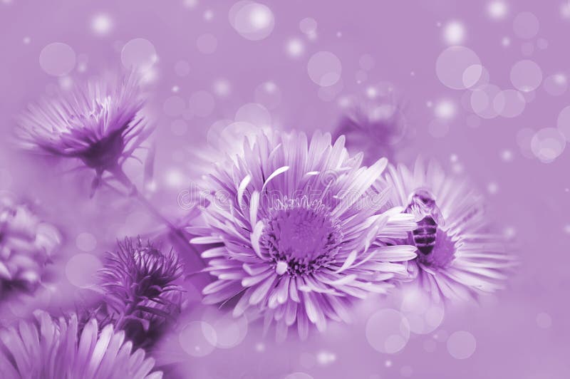 Abstract violet background 