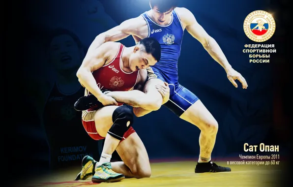 Более 2 200 работ на тему «Wrestling Team»