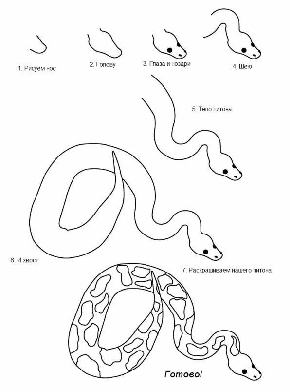 Как нарисовать очковую змею