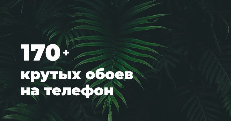 Заставки красивая вертикальные 