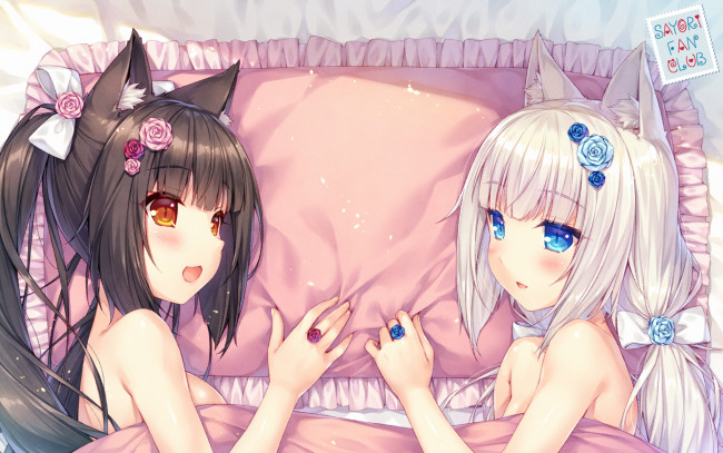 Nekopara Chocola Nekopara 