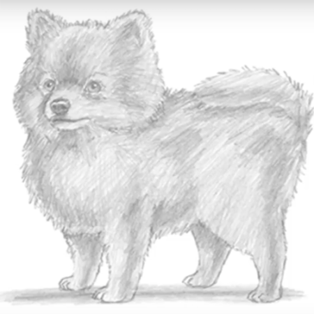 pomeranian-and-painting 