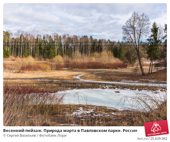 Природа Подмосковья * Обои рабочего стола » банк фото 04 Март 