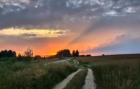 В Костроме открылся прием заявок на фотоконкурс «Природа моей 