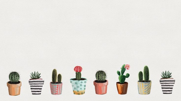 Cute Cactus! Wallpaper 