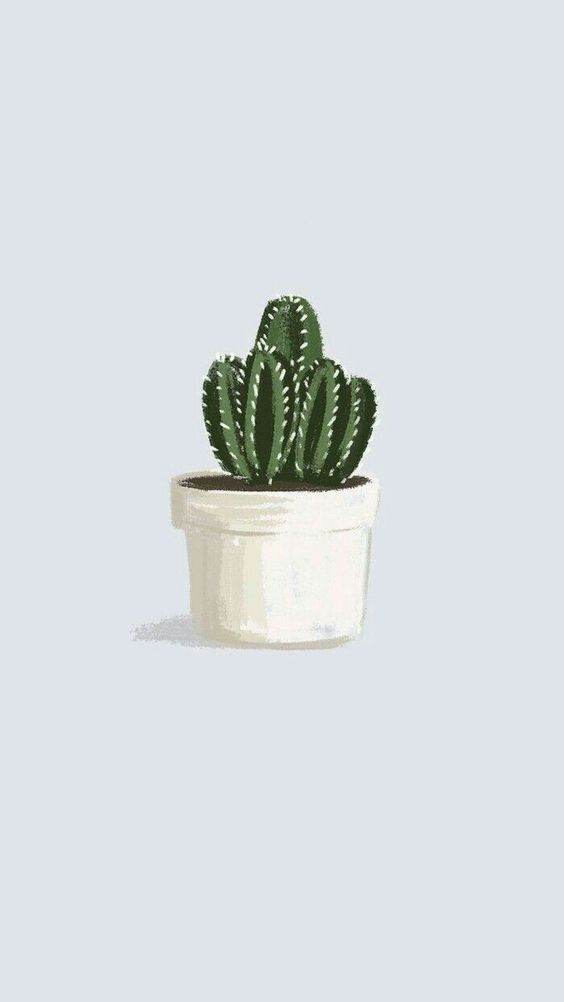 98,939 Cactus Wallpaper Royalty-Free 