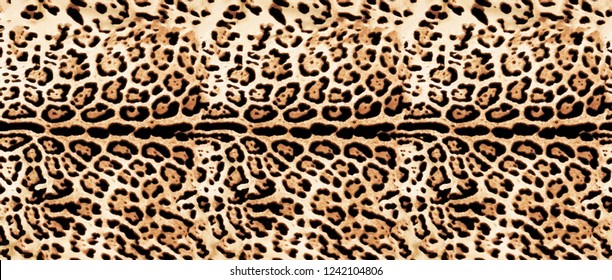 Texture Leopard, фотографии, рисунки, изображения, фотографии 