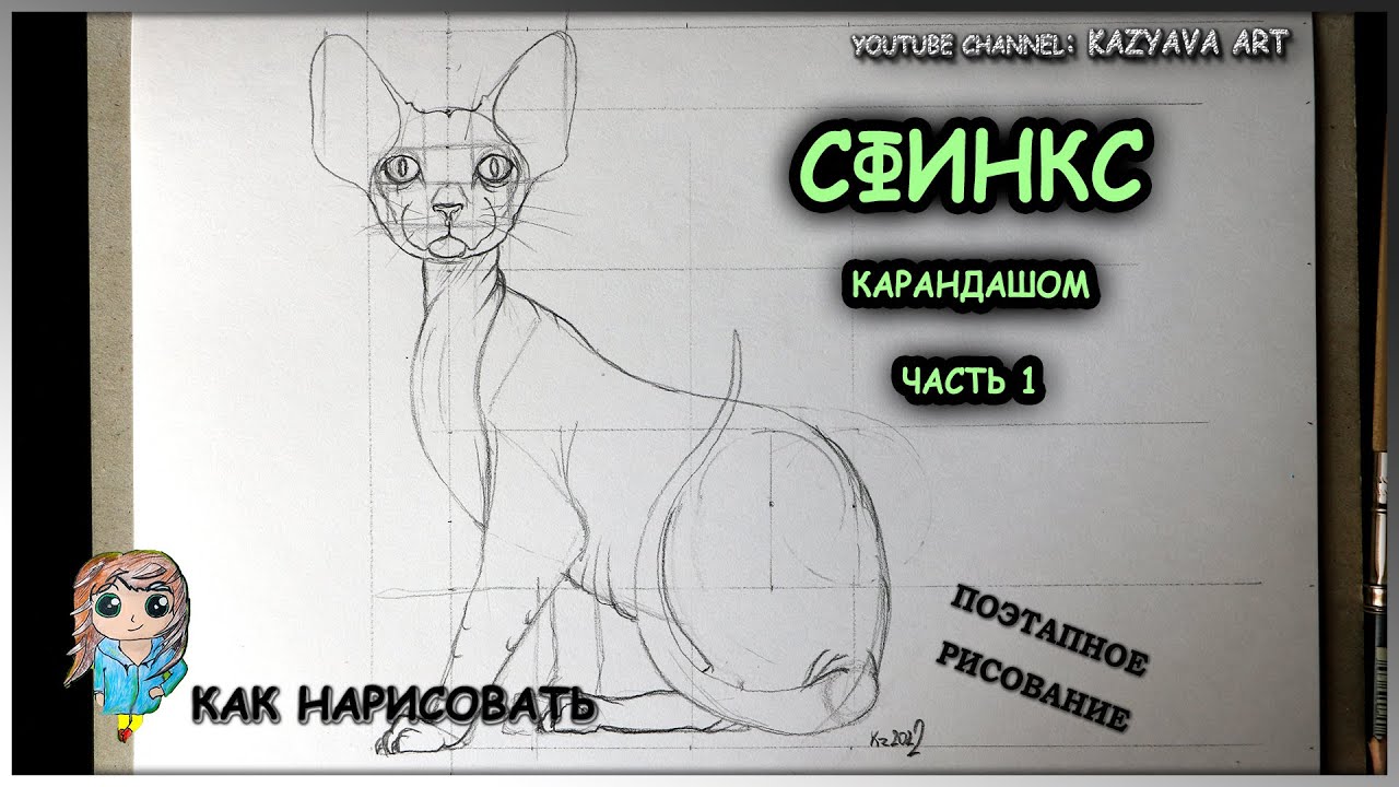 Ориентальная короткошерстная вискерская сфинкс кошка 