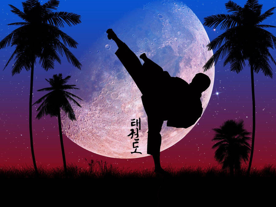 Taekwondo wallpaper