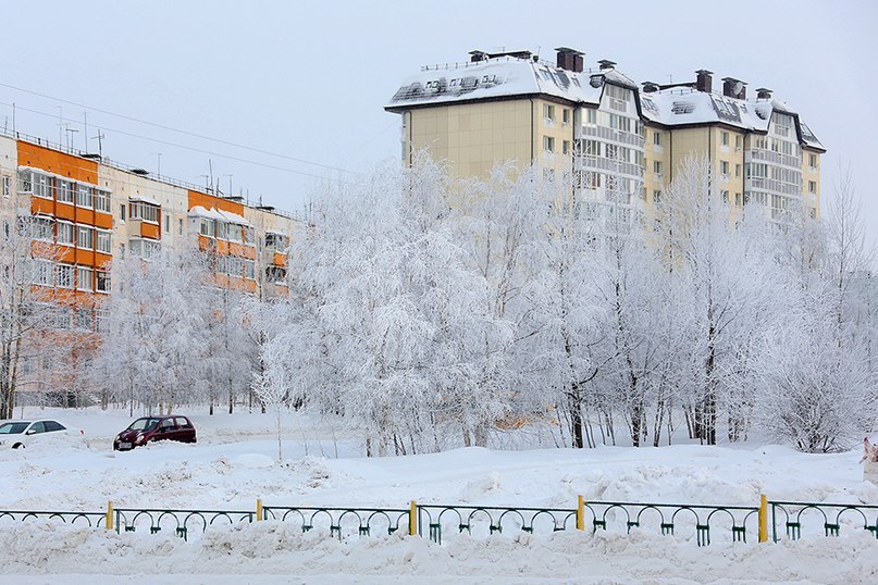 Зима в Москве»