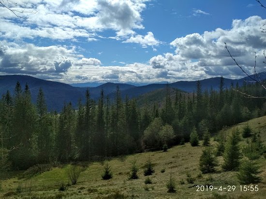 Красивые картинки Весна апрель на 