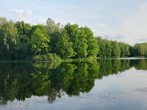 Фото Английский Пейзаж 