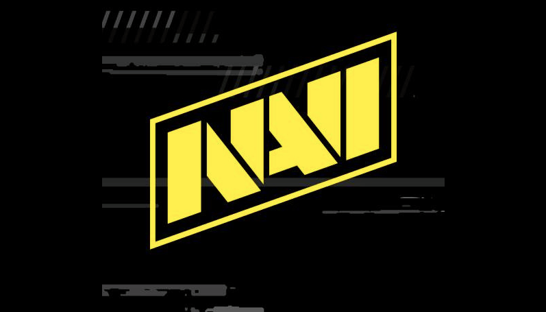 Идеи на тему «Natus Vincere» 13 