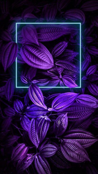 Neon Wallpapers For iPhone 