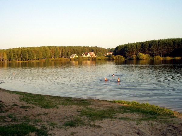 В Нижегородской области выяснили 