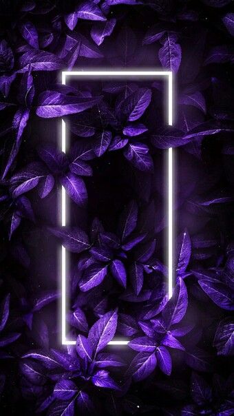 Purple wallpaper 