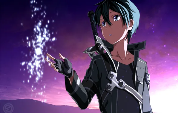 Sword Art Online the Movie