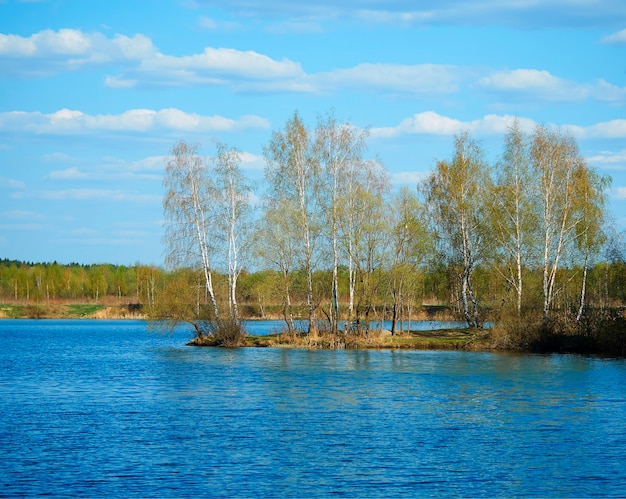 Картины в жанре осенний пейзаж, на холсте, акрилом, c белым 