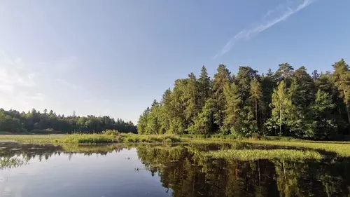 Нижегородская область