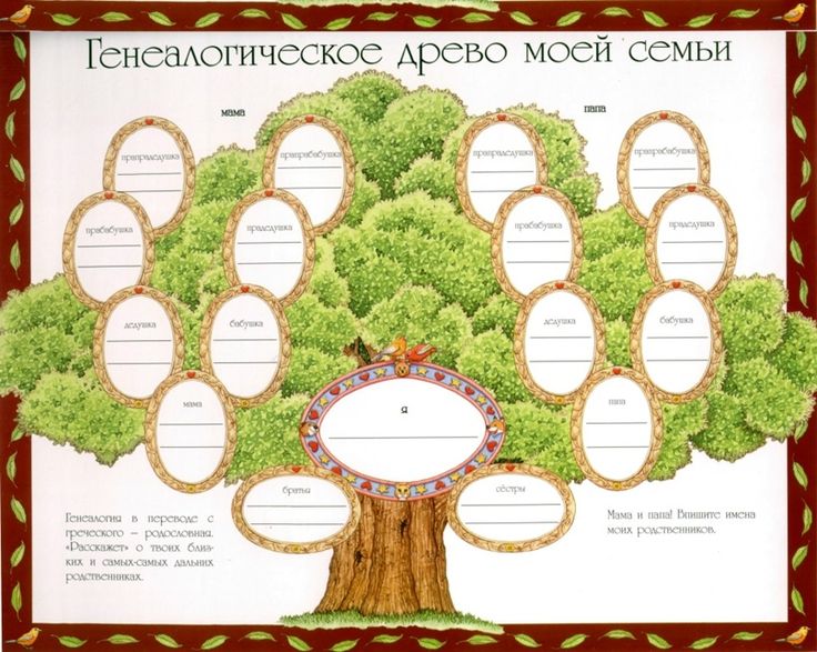 Рисунок на тему семейное дерево 