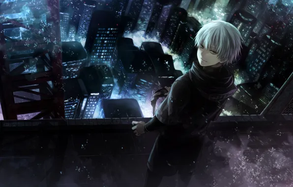 Anime Tokyo Ghoul fija re