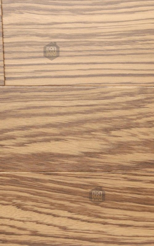 Canvas Print texture zebrano, wood 