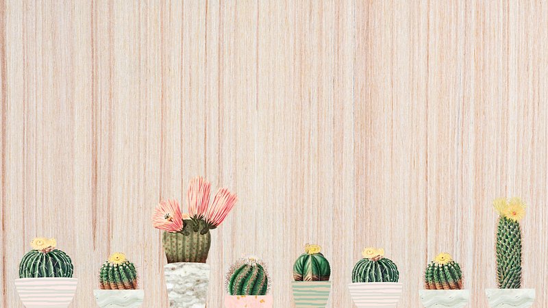 We're Loving… Cactus Wallpaper 