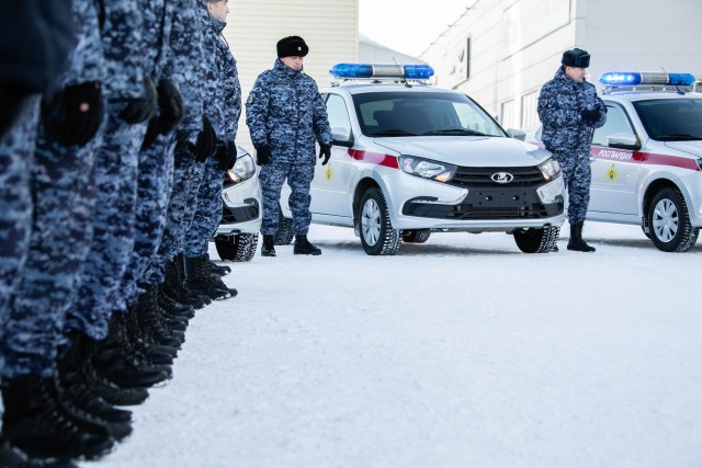 На улицах появится больше полицейских машин