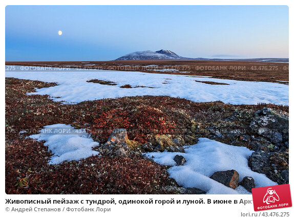 Осень в тундре