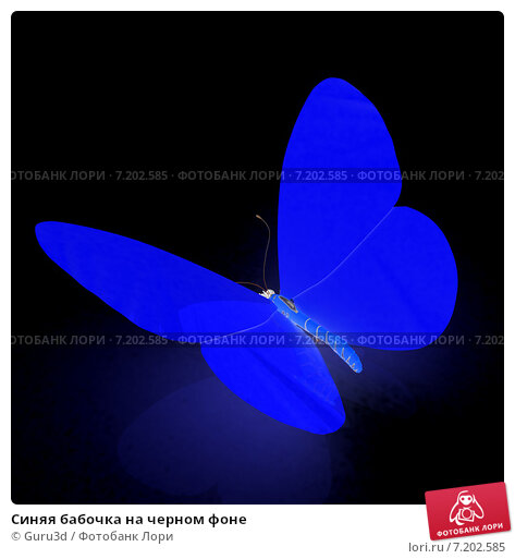 Обои на рабочий стол Три фиолетовые 