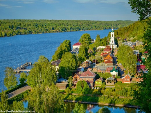 Красивые деревья зимой в Парке Степанова в Иваново #деревья 