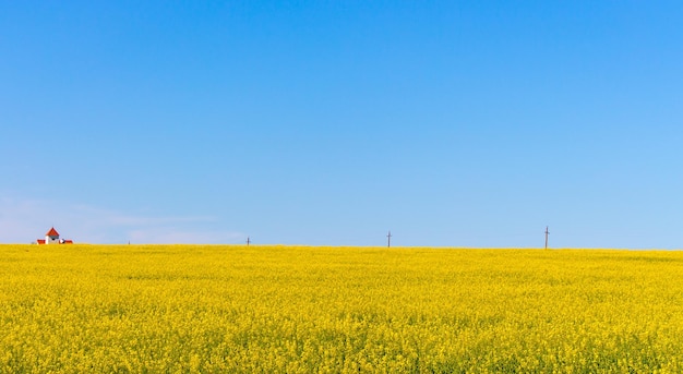 Природные чудеса Украины