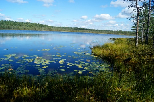 Пустынские озера в Нижегородской 