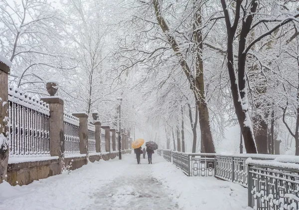 Городской Зимний Пейзаж