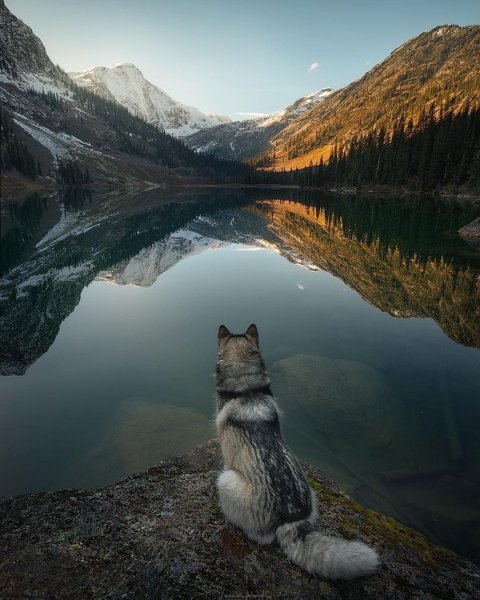 Осень в Зальцбурге • ФОТО