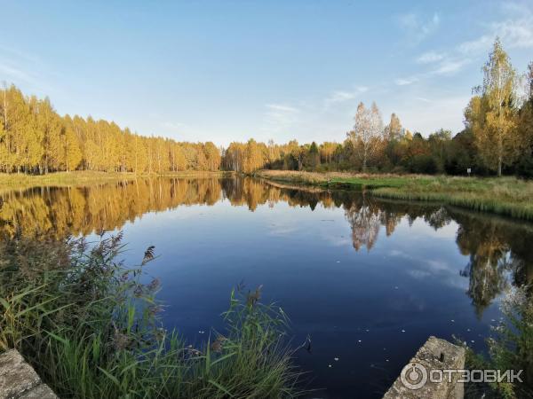 В реке Костроме обнаружили тело неизвестного мужчины