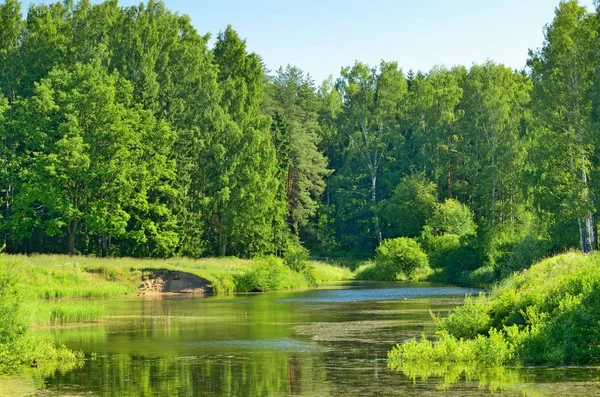 Обои лето, деревья, пейзаж, цветы 