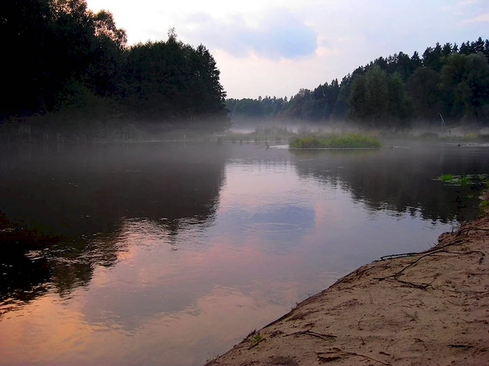 21 июля 2008, Река Теша, И кто же гребет,