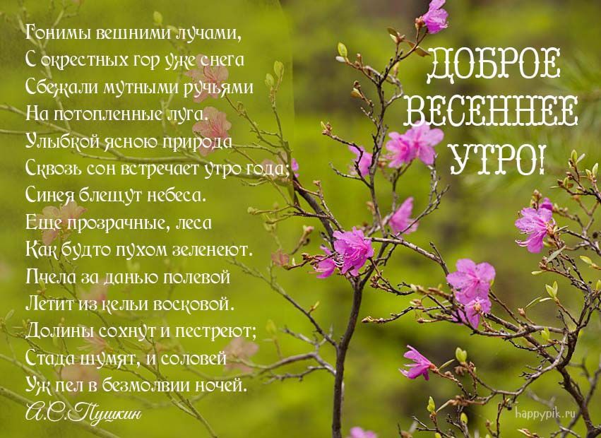 Весной природа оживает