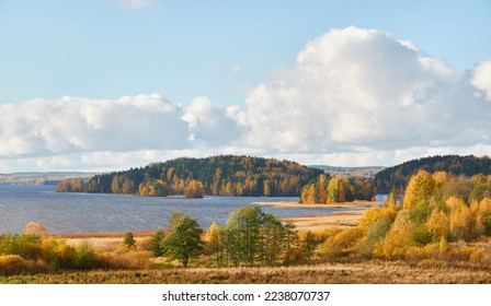 Фотография на тему Березы, весенний пейзаж 